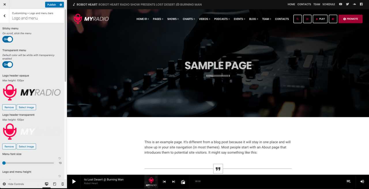 how to customize the logo of the raido wordpress theme